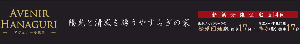 avenirhanaguri@AFj[ԌI